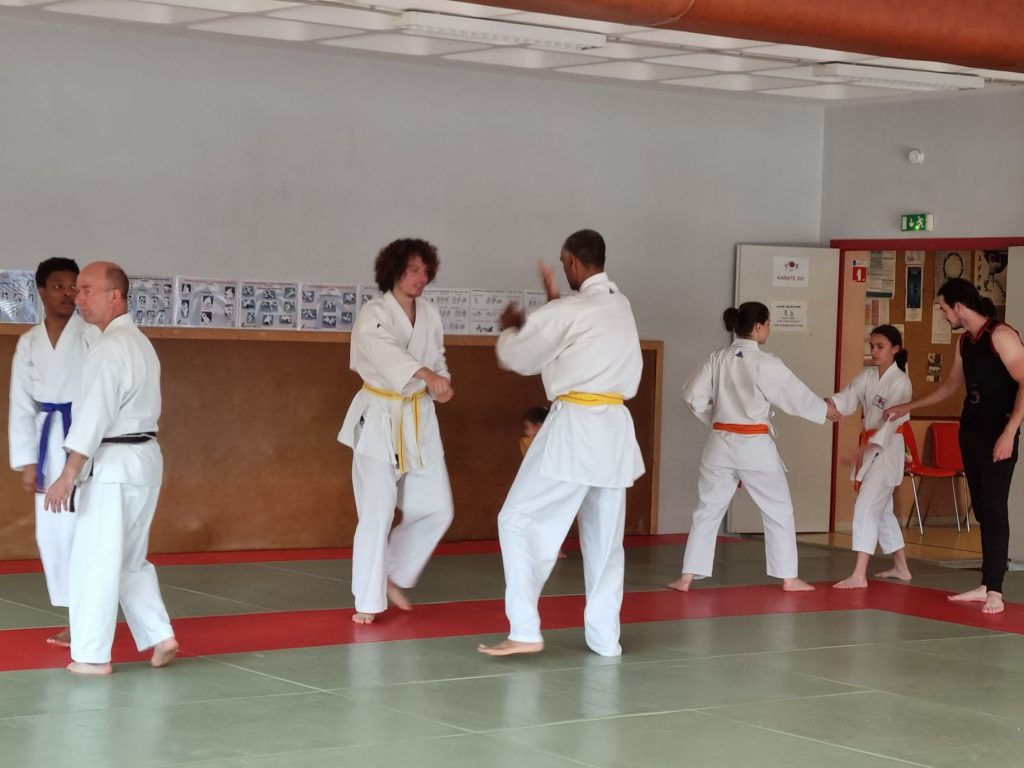 cours ados adulte de karate
