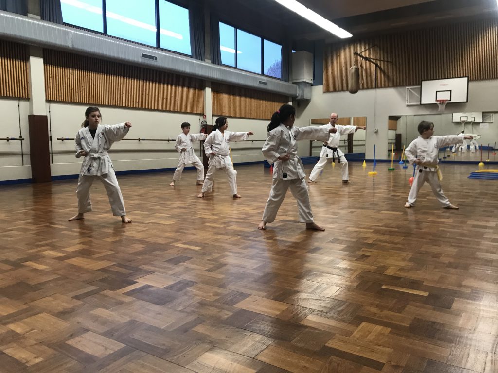 cours karate enfant